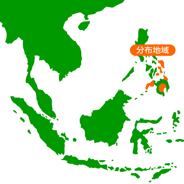 フィリピンメガネザルの生息分布地域